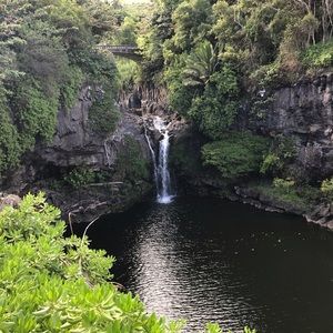 Meet your Posher, Rosemary